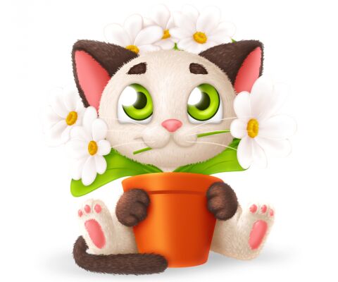 img3131827.png