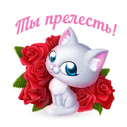 img3131921.png
