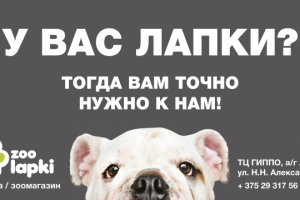 Работа 4163173