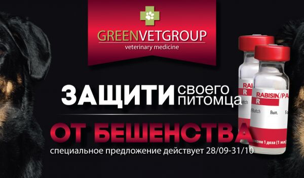 img4163169.png