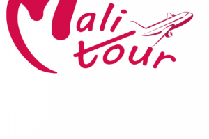 Логотип тревел агенства