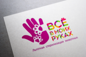 Работа 2774866