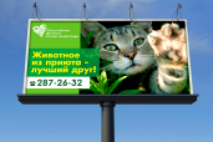 Баннер 3*6 для Права животных