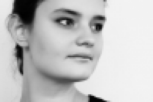 Работа 2523726