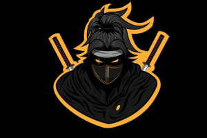 Лого Ниндзя