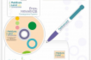 Фирменный стиль MaldivesLand