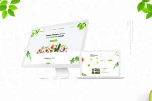 Дизайн Landing page / концепт