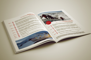 Презентационный буклет