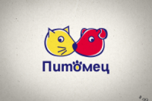 Вариант Домашний питомец