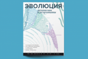 Верстка