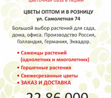 Флаер La Florida, формат 210х100 мм