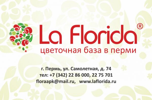 img3838568.png