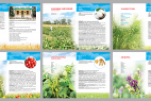 развороты каталога