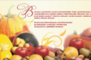 разработка полиграфической продукции буклет