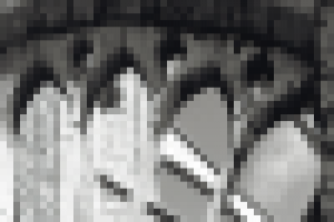 разработка логотипа и дизайна для диска