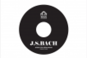 разработка логотипа и дизайна для диска