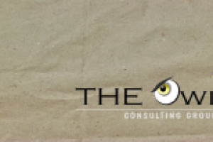 Consulting group
