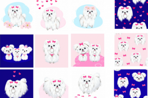 собачки белые милые