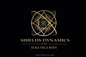 SHIELDS DYNAMICS