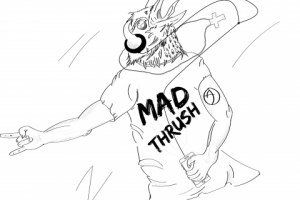 Проект Mad Thrush