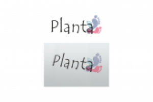 обувной интернет магазин "Планта"