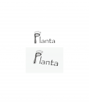 Planta