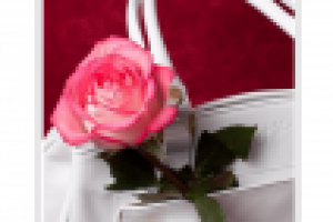 Каталог сумок