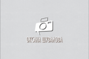 Работа 2356311