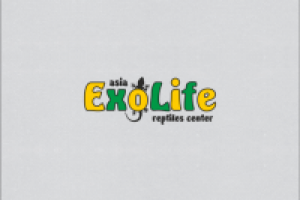 Работа 2356266