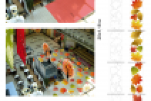 Оформление ТК Капитолий.