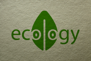 Логотип для Некоммерческой организации