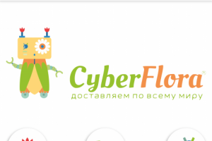 Логотип для интернет-магазина