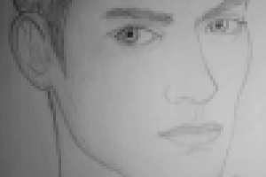 Работа 1040613