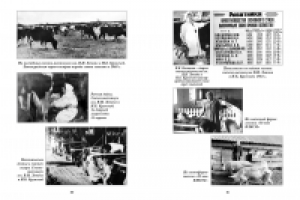 верстка книги