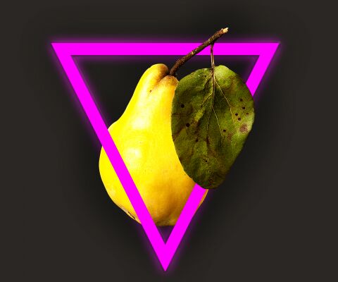 img3133746.png