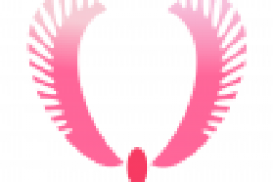 Работа 2727306