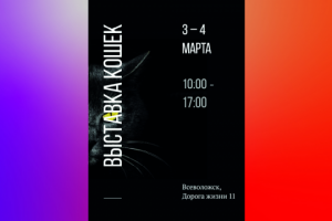 Баннер Выставка кошек. Всеволожск