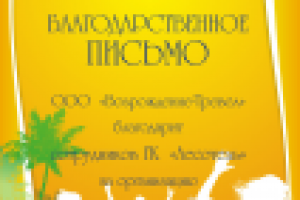 Благодарность 2010