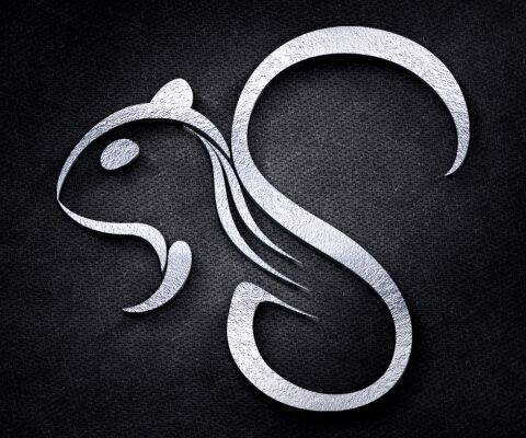 img3132285.png