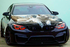 Ретушь, обработка фото