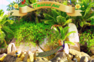 Птичий рай 2