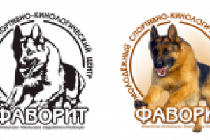 Работа 918418