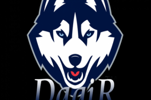 Работа 3437325