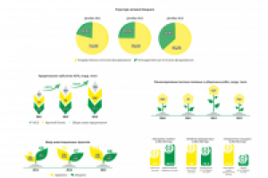 Инфографика для годового отчета