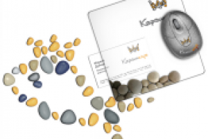 КОРОНА клуб