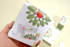 МАКЕТИРОВАНИЕ