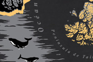 Работа 2796229