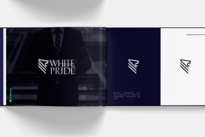 Работа 3703818