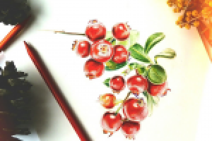 Работа 2897512