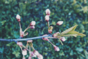 Работа 2897506